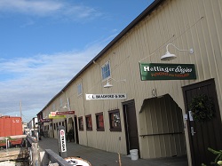 Bivalve Shipping Sheds